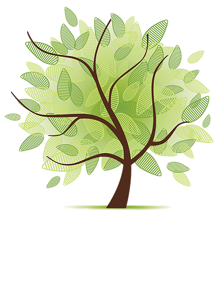 Wyncote Foundation